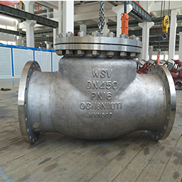 Stainless Steel Check Valves