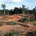 Zerstörter Wald durch eine Mine in Guyana © WWF