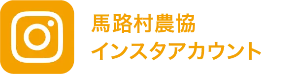 馬路村農協インスタアカウント