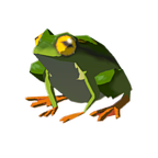 Hot-Footed Frog