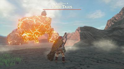 Fighting an Igneo Talus