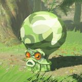 Forest Octorok