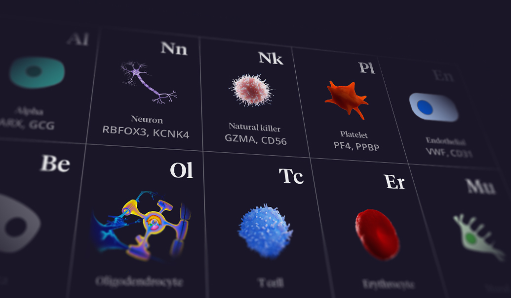 zs-discovery-periodic-table-insight