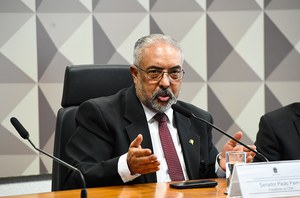 Mesa: 
presidente da CDH, senador Paulo Paim (PT-RS).