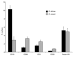 Thumbnail of Quantification of inflammatory changes in inoculation eschars from patients with African tick-bite fever (Rickettsia africae, n = 8) and patients with Mediterranean spotted fever (R. conorii, n = 15). Surface areas expressing CD15, CD68, CD3, CD20, and Factor VIII were quantified after immunostaining. Quantification of each parameter was evaluated by computer-assisted analysis of digitized microscopic images. Results were normalized and expressed as a percentage of the total skin ti