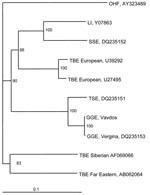 Thumbnail of Phylogenetic tree of the envelope gene of tick-borne encephalitis (TBE) virus strains constructed by using PHYLIP software (http://evolution.genetics.washington.edu/phylip.html). Omsk hemorrhagic fever (OHF) virus was used as the out-group. The numbers at the nodes represent bootstrap values. LI, louping ill; SSE, Spanish sheep encephalitis; TSE, Turkish sheep encephalitis; GGE, Greek goat encephalitis. Scale bar, 10% nucleotide sequence divergence.