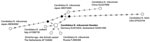 Thumbnail of Phylogenetic network of 16s rRNA sequences (1,231 bp) from Candidatus Neoehrlichia mikurensis, southern Sweden, 2008. Black nodes indicate intermediate inferred sequences on the most parsimonious route between observed sequences. Numbers on branches represents mutations, numbered according to nucleotide position in the alignment. The sequence obtained in this study is shown in boldface and is identical with sequences from human patients in Germany (3) and Switzerland (2). The Japane