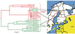 Thumbnail of A. Phylogenetic tree of partial E (1172-nt) gene sequences, shwoing Ixodes ricinus–transmitted strains (red) and I. persulcatus–transmitted strains (green). The tree was reconstructed by the Bayesian Markov chain Monte Carlo method in BEAST (http://beast.bio.ed.ac.uk). Maximum clade credibility tree with an arbitrary root is shown with mean branch lengths, and Bayesian posterior probabilities are given at nodes when &gt;0.7. Country of origin and isolation year are indicated. Four s