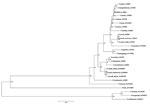 Thumbnail of Phylogenetic tree drawn, using the minimum evolution method, from an alignment of the 611-bp ompA gene of Rickettsia sp. AvBat. Bootstrap values are indicated at the nodes. Scale bar indicates the degree of divergence represented by a given length of branch. Boldface indicates the taxonomic position of a new Rickettsia sp.