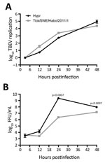 Thumbnail of Time course of tick-borne encephalitis virus (TBEV) multiplication from sample from a 67-year-old man in Sweden, 2011. A549 cells were infected with the virus isolated from the tick in this study, tick/SWE/Habo/2011/1, and reference strain Hypr at multiplicity of infection 0.1. Total cellular RNA and cell culture supernatants were collected at different time points postinfection. A) Intracellular levels of viral RNA quantified by real-time reverse transcription PCR analysis. B) Viru