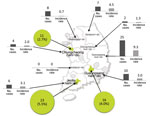 Thumbnail of Seroprevalence in 3 rural areas (2014) and incidence in 8 provinces (2013–2014) of severe fever with thrombocytopenia syndrome, South Korea. Within each province, 1 rural area was selected on the basis of the number of cases. Green circles indicate seroprevalence determined by using an indirect immunofluorescence assay. The incidence rate is per 1 million persons.