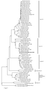 Thumbnail of Phylogenetic tree comparing the small gene segment of Crimean-Congo hemorrhagic fever virus (CCHFV) strain isolated in India (bold) with reference CCHFV strains obtained from GenBank. The strain from India, NIV161064, was isolated in 2016 from the serum of a patient who had returned home to India after becoming ill in Oman. Representative reference strains were inferred by the neighbor-joining algorithm in MEGA6 (http://www.megasoftware.net/). Strains are identified by GenBank acces