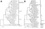 Thumbnail of Phylogenetic trees comparing the large (A) and medium (B) gene segments of Crimean-Congo hemorrhagic fever virus (CCHFV) strain isolated in India (bold) with reference CCHFV strains obtained from GenBank. The strain from India, NIV161064, was isolated in 2016 from the serum of a patient who had returned home to India after becoming ill in Oman. Representative reference strains were inferred by the neighbor-joining algorithm in MEGA6 (http://www.megasoftware.net/). Strains are identi