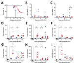 Thumbnail of Survival analysis and TBEV burden in peripheral organs of Torö-2003–infected and HB171/11-infected C57BL/6 mice. A) Survival analysis of ten 6–10-week-old female C57BL/6 mice after subcutaneous inoculation with phosphate-buffered saline (mock, black) or with 104 focus forming units (FFU) of Torö-2003 (blue) or HB171/11 (red) in 100 μL phosphate-buffered saline. Survival differences were tested for statistical significance by log-rank test. B, C) Viral burdens in spleen (B) and lymph