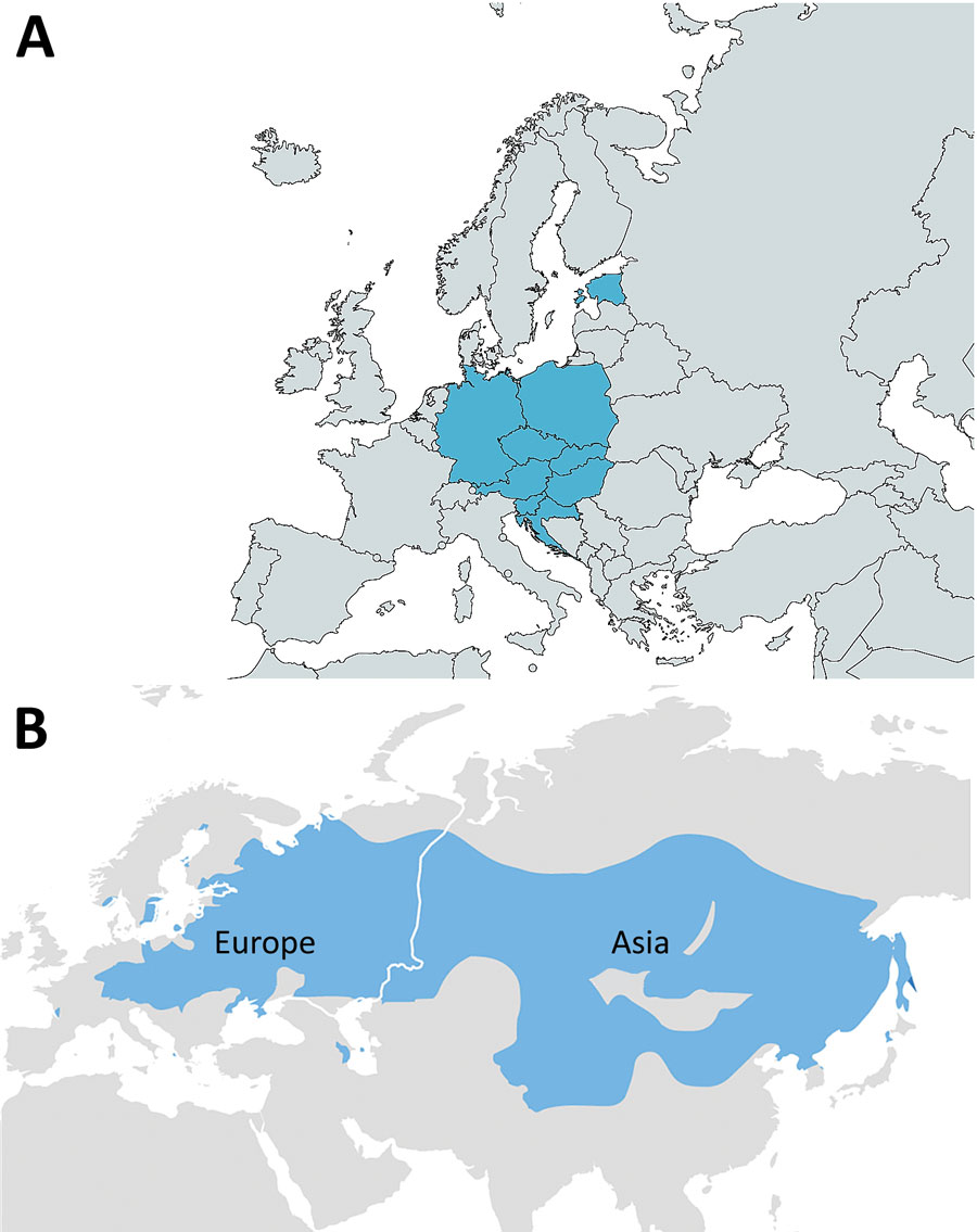 Geographic distribution of reported foodborne tick-borne encephalitis (FB-TBE) cases (blue shading), Europe, 1980–2021. A) The FB-TBE triangle in Europe. Russia had 5 cases in 1991 (not shown). Map created by using MapChart (https://mapchart.net). B) The tick-borne encephalitis belt, spanning from western Europe, across Russia, China, and Mongolia to Japan. Map from the Centers for Disease Control and Prevention (https://www.cdc.gov/tick-borne-encephalitis/geographic-distribution/index.html). 