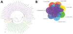 Phylogenetic tree and genomic comparison among Anaplasma species in study of emerging intraerythrocytic A. capra and high prevalence in goats, China. A) Phylogenetic tree of Anaplasma species based on all the genomic sequences deposited in GenBank, constructed by using maximum-likelihood method with Ehrlichia chaffeensis as an outgroup. The percentages of replicate trees in which the associated taxa clustered together in the bootstrap test (1,000 replicates) are shown next to the branches. B) Differences in gene contents among Anaplasma species strains. Venn diagrams show the distribution of shared and unique gene clusters among representative Anaplasma species.