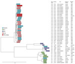 Ridom SeqSphere+ NJ tree (Ridom Gmbh, https://www.ridom.de) for 41 Francisella tularensis samples isolated from 3 patients in Austria, based on 1,147 columns from F. tularensis core-genome multilocus sequence typing. Scale bar indicates nucleotide substitutions per site. Metadata are provided in the Appendix Table.