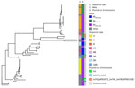 Genomic relatedness between Neisseria meningitidis strains identified from invasive meningococcal disease outbreak in Fiji, January 2016–August 2023, and publicly available gene sequences. A) Phylogenetic tree of Fiji MLST 4821 isolates and related sequences. Bar charts indicate location and presence or absence of antimicrobial resistance genes. A total of 18 MenC strains associated with the outbreak and 5 MenC strains from the post outbreak surveillance period were typed as MLST 4821 and included in analysis. All 23 strains were found to contain the gyrA point mutation T91I, and only 1 strain contained the rpoB point mutation H553Y. Of the 18 strains associated with the outbreak, 5 contained the penA point mutations; A510V, F504L, and N512Y. B) Mashtree generated neighbor-joining tree of publicly available PubMLST (https://pubmlst.org) data typed as MLST 4821 clonal complex and the MLST 4821 Fiji strains. When placed in this global context, the strains from Fiji form a separate cluster and appear to have a common ancestor with strains that have been isolated in China. AMR, antimicrobial reistant; MenC, N. meningitidis serotype C; MLST, multilocus sequence type; NA, not available.