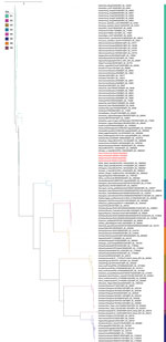 Phylogenetic analysis of neuraminidase gene sequences in study of highly pathogenic avian influenza A(H5N1) clade 2.3.4.4b virus infection in domestic dairy cattle and cats, United States, 2024. Colors indicate different subtypes. Red text indicates the virus gene sequences from bovine milk and cats described in this report, confirming those viruses belong to the N1 subtype. The neuraminidase sequences from this report had 99.52%–99.59% nucleotide identities to sequences from viruses isolated from a chicken and wild birds in 2023.