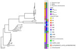 Pangenome phylogenetic tree of 63 isolates of Escherichia coli producing OXA-48–like carbapenemases, Israel, 2021–2023.