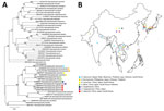 Phylogenetic tree (A) and geographic distribution (B) of 36 tick species from the genus Haemaphysalis. Bold indicates tick sequences analyzed in this study; Tick-Nagasaki indicates tick collected from a human patient in Japan who had severe fever with thrombocytopenia syndrome virus. Colors indicate locations where ticks have been found. We used 49 16S rRNA sequences to construct the maximum-likelihood tree based on 1,000 replicates in MEGA 11.0.13 (https://www.megasoftware.net). Bootstrap values are indicated next to the branches. Scale bar indicates nucleotide substitutions per site. 