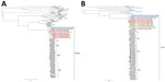 Maximum-likelihood phylogenetic analysis of alphavirus sequences from South and North America and WEEV sequences described in investigation of equine encephalomyelitis outbreak, Uruguay. A) Phylogeny based on partial nonstructural protein 4 gene sequences. B) Phylogeny based on complete sequences. GenBank accession numbers are provided. Subclades are assigned as previously described (5,6). Clades including reference sequences from other alphaviruses were collapsed for better visualization. Red, sequences from Uruguay 2023–2024; orange, 2009 sequences; blue, sequences from Argentina; green, sequences from Brazil. Branch numbers are approximate likelihood ratio supports. Scale bar indicates substitutions per site. CHIKV, chikungunya virus; EEEV, Eastern equine encephalomyelitis virus; MADV, Madariaga virus; MDPV, Mosso das Pedras virus; MIDV, Middelburg virus; MAYV, Mayaro virus; MUCV, Mucambo virus; OCKV, Ockelbo virus; ONYV, o'nyong-nyong virus; RNV, Rio Negro virus; SINDV, Sindbis virus; VEEV, Venezuelan equine encephalitis virus; WEEV, Western equine encephalomyelitis virus.