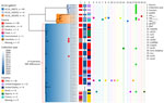 Phylogenetic analysis of Salmonella enterica serovar Abony from an outbreak caused by a WDCM 00029 Clone, Chile, 2024. A core SNP maximum-likelihood phylogenetic tree was constructed by using RAxML version 8 (https://github.com/stamatak/standard-RAxML) and genomes of Salmonella Abony isolates from the HC50_20673 cluster with the ATCC 6017 genome as the reference (Enterobase Barcode SAL_BA5138AA; Sequence Read Archive accession no. SRR1786283). The tree was constructed by using the Enterobase pipelines refMasker, refMapper, refMapperMatrix, and matrix_phylogeny, which together masked repeated regions, tandem repeats, and CRISPR regions in the reference genome, aligned genomes to reference, called nonrepetitive core SNPs, and built the maximum likelihood tree. Metadata regarding HC10 clusters (<10 allele differences) include isolation source, collection year, country of origin, antibiotic drug resistance genes (AMRFinderPlus version 3.12.8; database version 2024-05-02.2; https://www.ncbi.nlm.nih.gov/pathogens/antimicrobial-resistance/AMRFinder), and plasmid replicons (ABRicate version 1.0.1, https://github.com/tseemann/abricate; PlasmidFinder database, updated June 4, 2024). Red arrows indicate the WDCM 00029 genomes found in the public databases (Enterobase, https://enterobase.warwick.ac.uk/species/index/senterica; National Center for Biotechnology Information Sequence Read Archive, https://www.ncbi.nlm.nih.gov/sra) that were made public in 2013 (accession no. SRR955283), 2016 (accession no. SRR1815498), 2019 (accession no. SRR8599079), and 2021 (accession no. SRR15145673). Asterisks (*) in the collection year column indicate that information was missing. The figure was made by using iTOL version 6.9 (https://itol.embl.de). ATCC, American Type Culture Collection; cgMLST, core genome multilocus sequence typing; CRISPR, clustered regularly interspaced short palindromic repeats; SNP, single-nucleotide polymorphism.