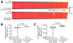 Whole-genome comparisons of Salmonella enterica serovar Abony from an outbreak caused by a WDCM 00029 clone, Chile, 2024. A) Example whole-genome comparison between Salmonella Abony WDCM 00029 (genome provided by ATCC; strain BAA-2162) and an isolate from the HC10_20673 cluster (strain SAbH24_18) from Chile, or the most closely related isolate (strain 201808966) outside the HC10_20673 cluster (mean difference to HC10_20673 isolates: 73 SNPs). Red lines connect regions of genome identity between each pair of compared genomes, with color indicating the percent identity. The red vertical arrow points to a region of difference between the compared genomes. B, C) Truncated violin plots of AF (B) and ANI (C) to the WDCM 00029 genome of the Salmonella Abony isolates (n = 18 genomes) from Chile and other isolates from the same HC50 cluster (HC10_142933 and HC10_165393; n = 12 genomes). In the violin plots, black horizontal lines represent medians and dotted lines represent 25% and 75% quartiles. Differences between the median values were assessed by using Mann-Whitney tests. AF and ANI calculations were made with FastANI version 1.34 (https://github.com/ParBliSS/FastANI). AF, alignment fraction; ANI, average nucleotide identity; ATCC, American Type Culture Collection; SNP, single-nucleotide polymorphism.