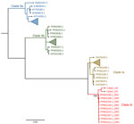 Phylogenetic tree showing clade analysis in study of human monkeypox virus infection, Uganda, 2024. Maximum-likelihood tree was generated using IQ-TREE (https://www.iqtree.org) with 1,000 bootstrap resampling. The monkeypox virus sequences from Uganda (Case1_UG and Case2_UG) clustered with other clade Ib viruses from the Democratic Republic of the Congo (red text). Scale bar indicates number of nucleotide substitutions per site. 