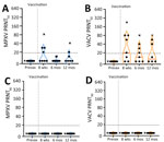 Longitudinal neutralizing antibody response by JYNNEOS vaccination extending to 12 months in a study to assess neutralizing antibody responses to MPXV in smallpox vaccine–naive persons after JYNNEOS vaccination. We used PRNT to test serum samples from donors vaccinated with 2 doses of JYNNEOS ≈28 days apart. We performed assays with sonicated virus and a 1-hour virus–serum incubation. A) MPXV PRNT50 results; B) VACV PRNT50 results; C) MPXV PRNT90 results; D) VACV PRNT90 results. Data from a single donor with prior smallpox vaccination are plotted separately (black Xs). We used data from participants with no known vaccinia exposure for mean calculations (black circles). Each datapoint represents the geometric mean titer of 2 independent experiments, each performed in duplicate, and the limits of detection are expressed by horizontal dotted lines. MPXV, monkeypox virus; prevax, prevaccination; PRNT, plaque reduction neutralization test; PRNT50, 50% plaque reduction as measured by PRNT; PRNT90, 90% plaque reduction as measured by PRNT; VACV, vaccinia virus.