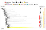 Phylogenetic analysis based on core-genome alignments of 1,516 Klebsiella pneumoniae ST307 isolates in a study of cefiderocol resistance conferred by plasmid-located ferric citrate transport system in K. pneumoniae carbapenemase–producing K. pneumoniae. The trees are midpoint rooted, and the scale bar represents the number of substitutions per site. The presence of the fec operon is indicated in red; blaKPC, blaVIM, and blaNDM genes in black; and the FIB(K) replicon in orange. Yellow shading indicates genomes sequenced in this study or our previous studies (Appendix 1, Table 1). The best-fit model was selected by ModelFinder (34). The trees were visualized with Microreact (https://microreact.org) and adjusted by using the InkScape software (https://www.inkscape.org). ST, sequence type.