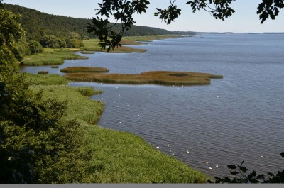 Wolin National Park