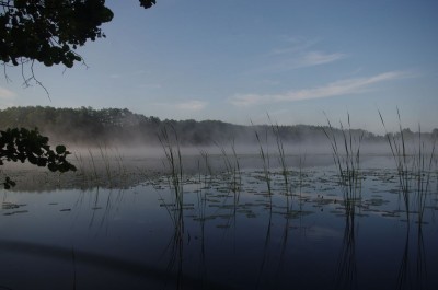 Wolin National Park