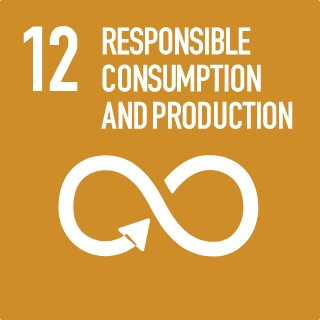 12 RESPONSiBLE CONSUMPTION AND PRODUCTION