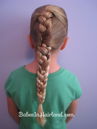 Braid into a Braid (7)