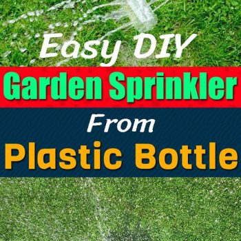 Easy DIY Garden Sprinkler From Plastic Bottle 1