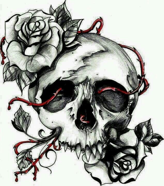 Albums 105+ Pictures cool skull pictures to draw Excellent