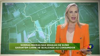 Normas r�gidas nas granjas de su�no garantem carne de qualidade ao consumidor