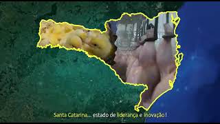 Santa Catarina - Lideran�a e Inova��o