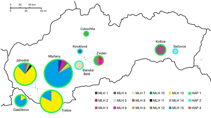 Population structure and genetic diversity suggest recent introductions of Dothistroma pini in Slovakia