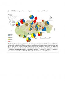 Population structure and genetic diversity of Dothistroma septosporum in Slovakia