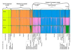 Worldwide Genetic Structure Elucidates the Eurasian Origin and Invasion Pathways of Dothistroma septosporum, Causal Agent of Dothistroma Needle Blight 