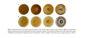 Inhibition effect of selected inorganic metal ions on the mycelial growth of Cryphonectria parasitica