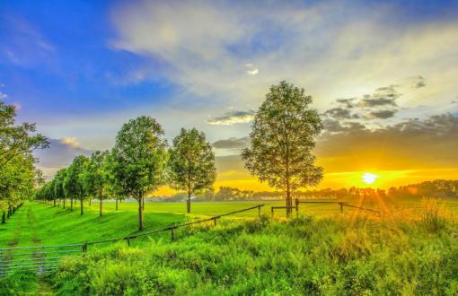 Golden sunset on the green field