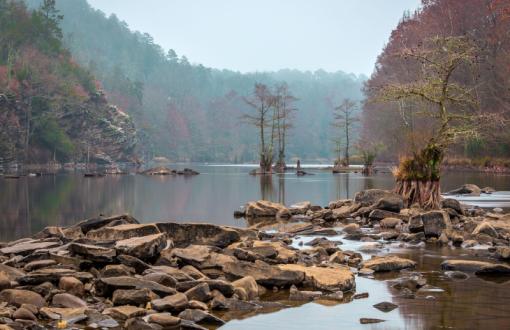 Rocks and tree in the river