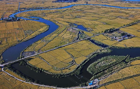 Scenery of paddy fields in Baicheng, NE China's Jilin