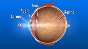 eye-diagram