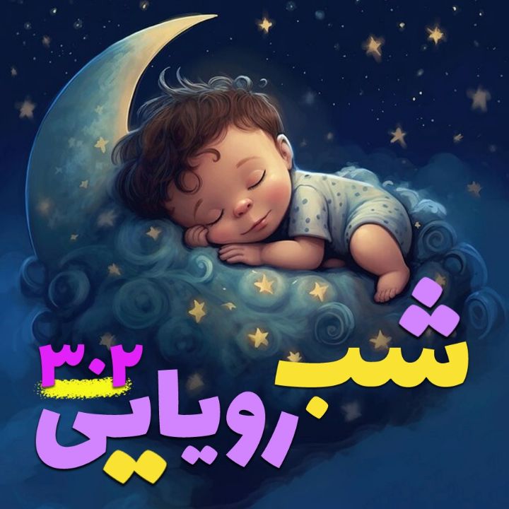 شب رویایی 302 