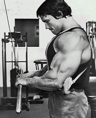 Build Killer Triceps | IronMag Bodybuilding Blog