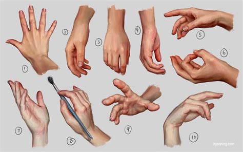 estudo | Referência mão, Como desenhar mãos, Tutoriais de desenho